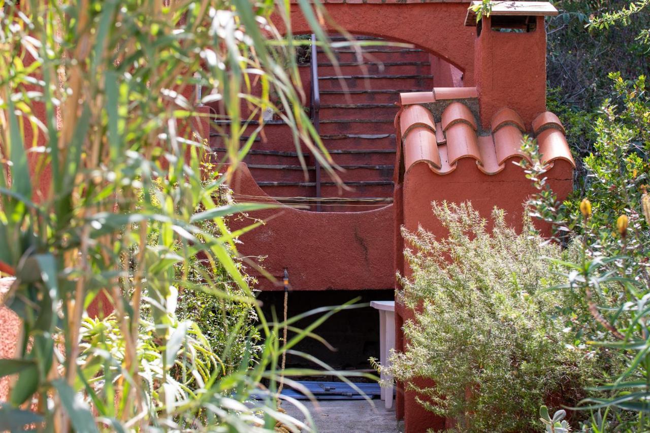 Villa Bougainvilliers Banyuls-sur-Mer Exteriér fotografie